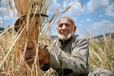 1. TARIM VE İNSAN FOTOĞRAF YARIŞMASI - Atilla KEKLİK