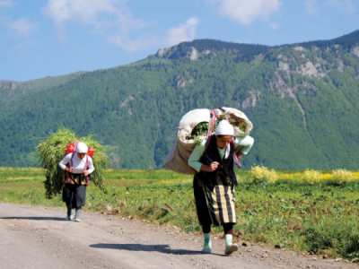 1. TARIM VE İNSAN FOTOĞRAF YARIŞMASI - Abdullah TOSUN