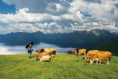 1. TARIM VE İNSAN FOTOĞRAF YARIŞMASI - Muhammet CEYLAN