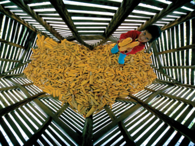 1. TARIM VE İNSAN FOTOĞRAF YARIŞMASI - Yılmaz TOPÇU