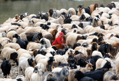 1. TARIM VE İNSAN FOTOĞRAF YARIŞMASI - Cem  ÖKSÜZ