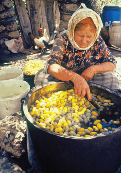 1. TARIM VE İNSAN FOTOĞRAF YARIŞMASI - Berat ÇELİK