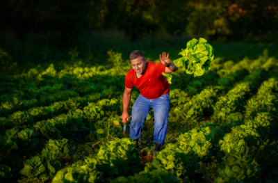 1. TARIM VE İNSAN FOTOĞRAF YARIŞMASI - Erkan BALDAN