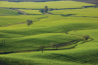 1. TARIM VE İNSAN FOTOĞRAF YARIŞMASI - Abdullah TOKER 
