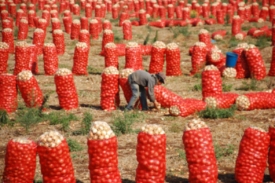 1. TARIM VE İNSAN FOTOĞRAF YARIŞMASI - Fikret MORAL