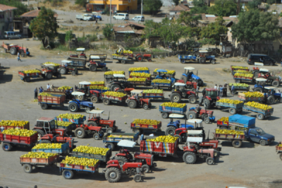 1. TARIM VE İNSAN FOTOĞRAF YARIŞMASI - Hüseyin AKKAYA
