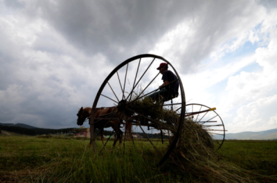 1. TARIM VE İNSAN FOTOĞRAF YARIŞMASI - Hüseyin DEMİRCİ