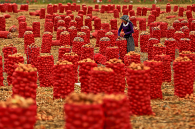 1. TARIM VE İNSAN FOTOĞRAF YARIŞMASI - İhsan İLZE