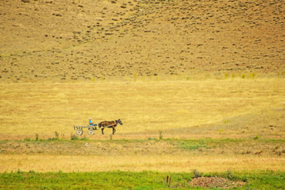 1. TARIM VE İNSAN FOTOĞRAF YARIŞMASI - İhsan İLZE