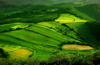 1. TARIM VE İNSAN FOTOĞRAF YARIŞMASI - İsa CIDA