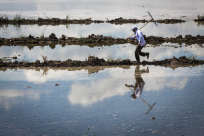 1. TARIM VE İNSAN FOTOĞRAF YARIŞMASI - İsmail ACAR 