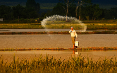 1. TARIM VE İNSAN FOTOĞRAF YARIŞMASI - İsmail EKİCİ