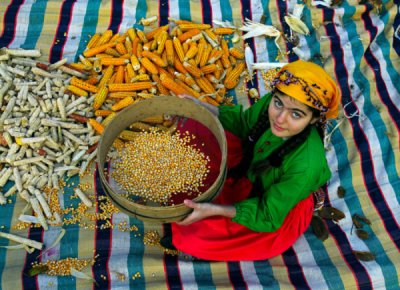 1. TARIM VE İNSAN FOTOĞRAF YARIŞMASI - İsmail EKİCİ