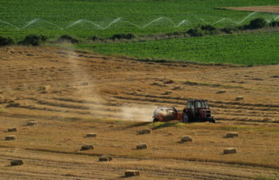 1. TARIM VE İNSAN FOTOĞRAF YARIŞMASI - İsmail İKİZ
