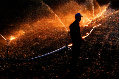 1. TARIM VE İNSAN FOTOĞRAF YARIŞMASI - A. Remzi TÜLLÜCE