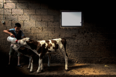 10. TARIM VE İNSAN FOTOĞRAF YARIŞMASI - Ayşe ÇALIŞKAN