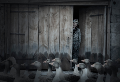 10. TARIM VE İNSAN FOTOĞRAF YARIŞMASI - Ufuk SEFEROĞLU