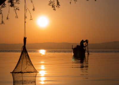 10. TARIM VE İNSAN FOTOĞRAF YARIŞMASI - Dilek ATMACA