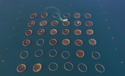 10. TARIM VE İNSAN FOTOĞRAF YARIŞMASI - Emre BOSTANOĞLU