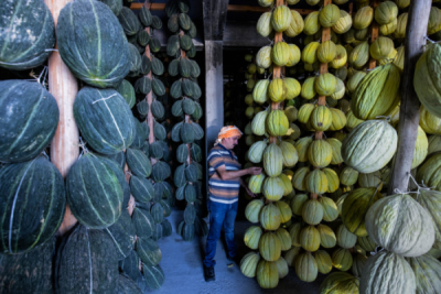 10. TARIM VE İNSAN FOTOĞRAF YARIŞMASI - Erdem Arif YİĞİT