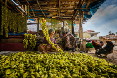 10. TARIM VE İNSAN FOTOĞRAF YARIŞMASI - F. Dilek UYAR