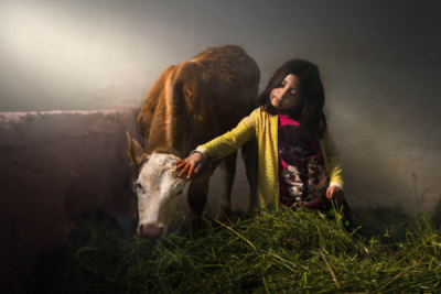 10. TARIM VE İNSAN FOTOĞRAF YARIŞMASI - F. Dilek UYAR