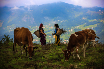 10. TARIM VE İNSAN FOTOĞRAF YARIŞMASI - Haşim KANDİLCİOĞLU
