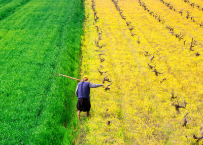 10. TARIM VE İNSAN FOTOĞRAF YARIŞMASI - İrfan ÇİMEN