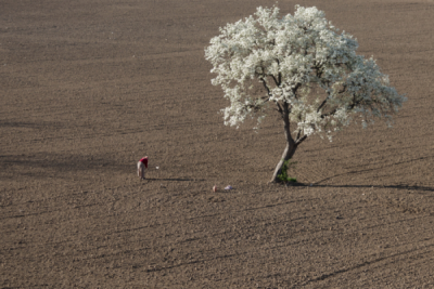 10. TARIM VE İNSAN FOTOĞRAF YARIŞMASI - İsmail BÜYÜKŞİMŞEK
