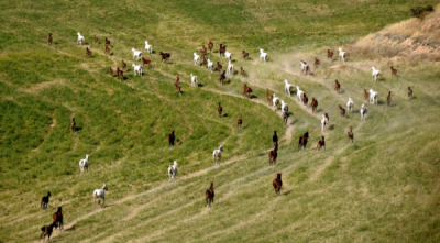 10. TARIM VE İNSAN FOTOĞRAF YARIŞMASI - İsmet DANYELİ
