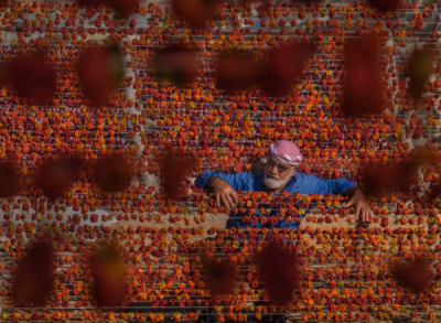 10. TARIM VE İNSAN FOTOĞRAF YARIŞMASI - İsmet DANYELİ