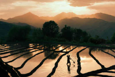 10. TARIM VE İNSAN FOTOĞRAF YARIŞMASI - Mehmet ASLAN