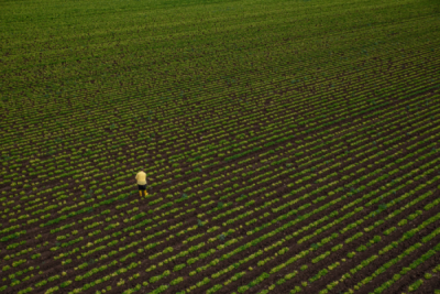 10. TARIM VE İNSAN FOTOĞRAF YARIŞMASI - Mehmet DEĞİRMENCİOĞLU