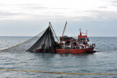 10. TARIM VE İNSAN FOTOĞRAF YARIŞMASI - Mehmet OĞUZ 