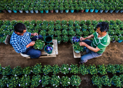 10. TARIM VE İNSAN FOTOĞRAF YARIŞMASI - Özgür KONUR