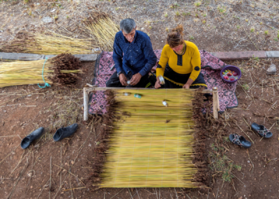 10. TARIM VE İNSAN FOTOĞRAF YARIŞMASI - Ramazan ÇIRAKOĞLU