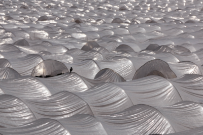 10. TARIM VE İNSAN FOTOĞRAF YARIŞMASI - Tahsin TOPÇU