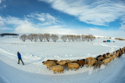 10. TARIM VE İNSAN FOTOĞRAF YARIŞMASI - Ufuk SEFEROĞLU