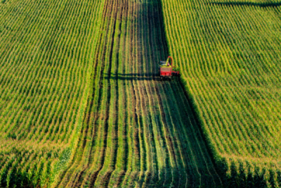 10. TARIM VE İNSAN FOTOĞRAF YARIŞMASI - Yunus YILDIZ