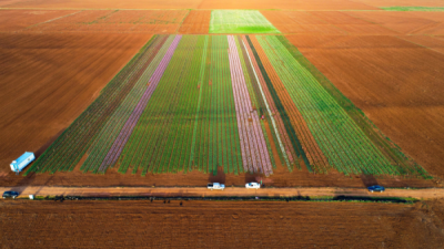 10. TARIM VE İNSAN FOTOĞRAF YARIŞMASI - Yüksel AÇIKGÖZ
