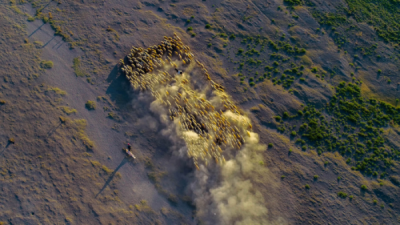 10. TARIM VE İNSAN FOTOĞRAF YARIŞMASI - Yüksel AÇIKGÖZ