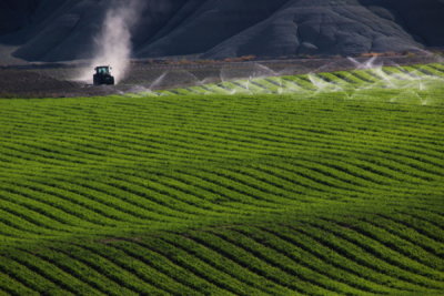 10. TARIM VE İNSAN FOTOĞRAF YARIŞMASI - Abdurrahman KURT