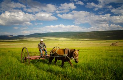 10. TARIM VE İNSAN FOTOĞRAF YARIŞMASI - Ahmet HARMANCI