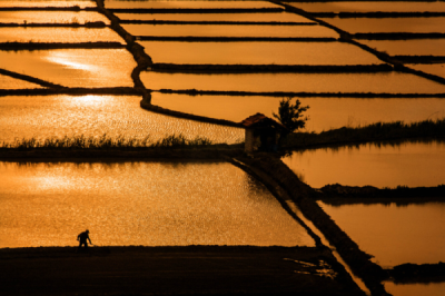 10. TARIM VE İNSAN FOTOĞRAF YARIŞMASI - Ali ACAR