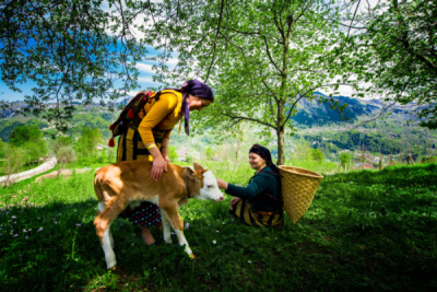10. TARIM VE İNSAN FOTOĞRAF YARIŞMASI - Ali Fatih AKÇAY