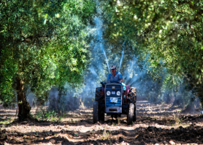 10. TARIM VE İNSAN FOTOĞRAF YARIŞMASI - Ali MİLETLİ