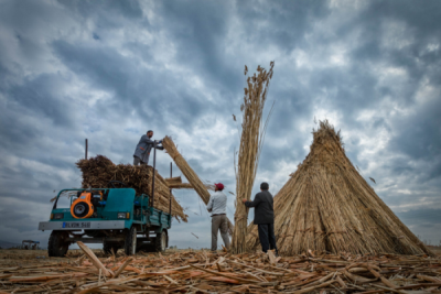 10. TARIM VE İNSAN FOTOĞRAF YARIŞMASI - Arzu İBRANOĞLU