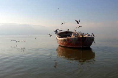 10. TARIM VE İNSAN FOTOĞRAF YARIŞMASI - Ayşe ERSOY