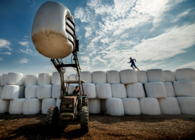 10. TARIM VE İNSAN FOTOĞRAF YARIŞMASI - Batuhan BECEREN
