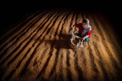 10. TARIM VE İNSAN FOTOĞRAF YARIŞMASI - Bülbül ÖZBAYRAM